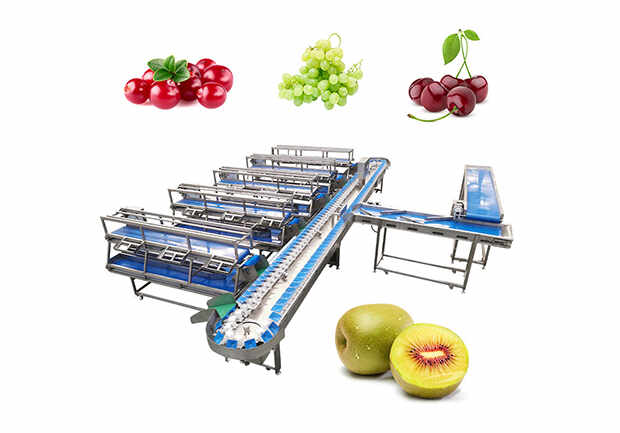 100-300kg/h