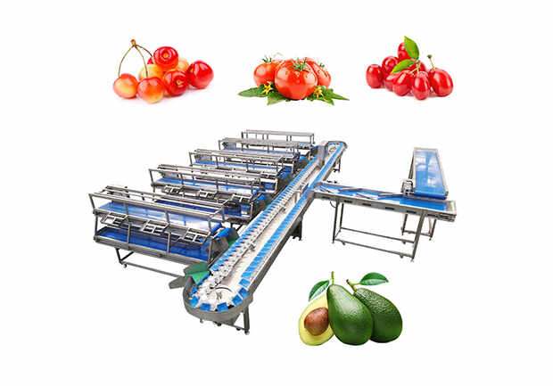 300-500kg/h